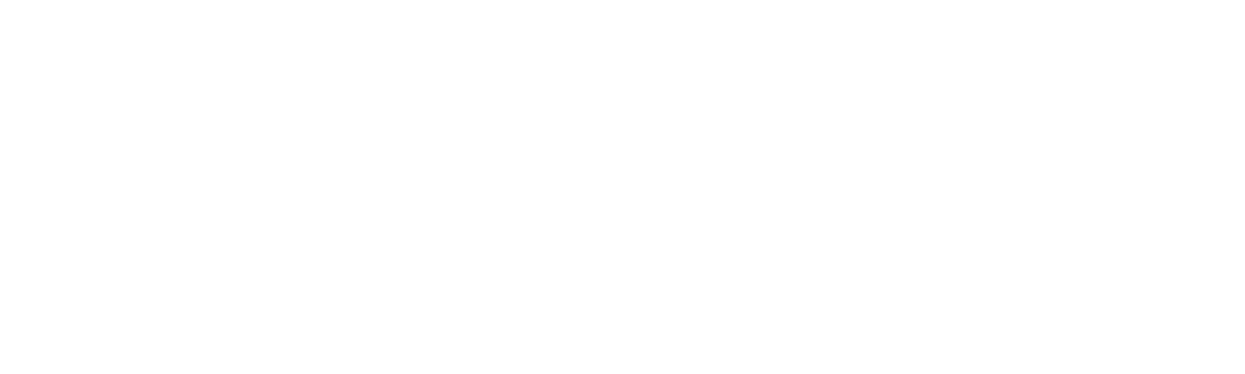 Castor Cyber Risk